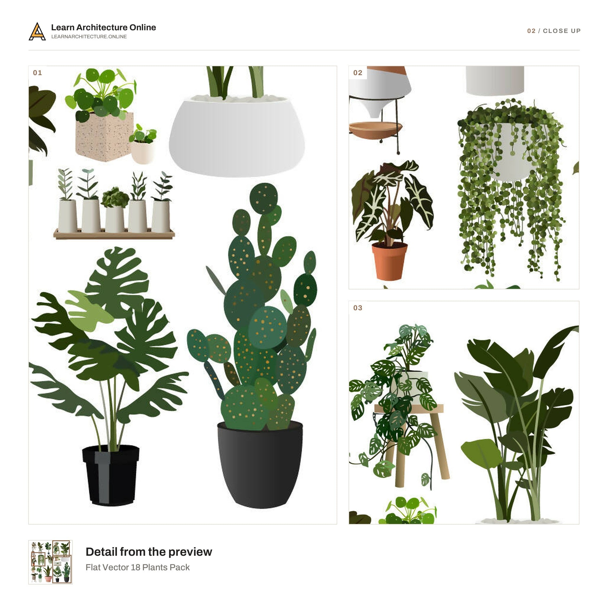 Flat Vector 18 Plants Pack close up