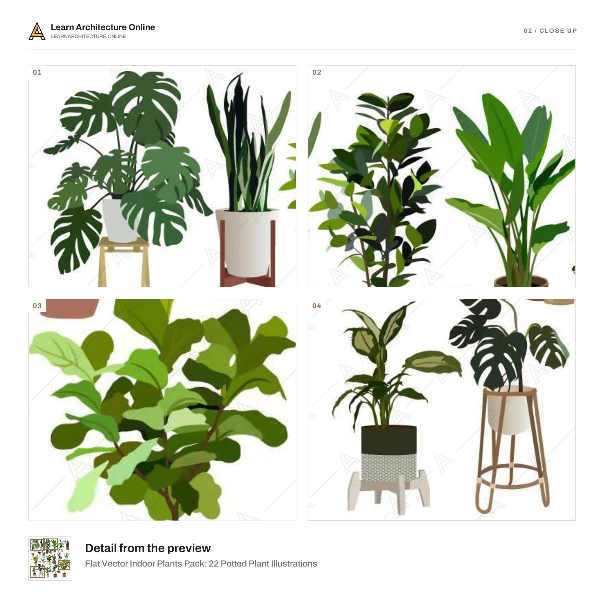 Flat Vector Indoor Plants Pack: 22 Potted Plant Illustrations close up