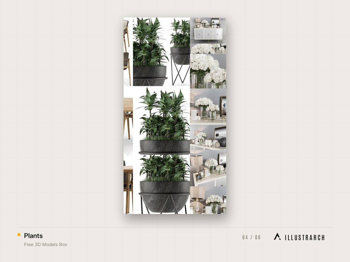 Free 3D Models Box for Architectural Renders: plants