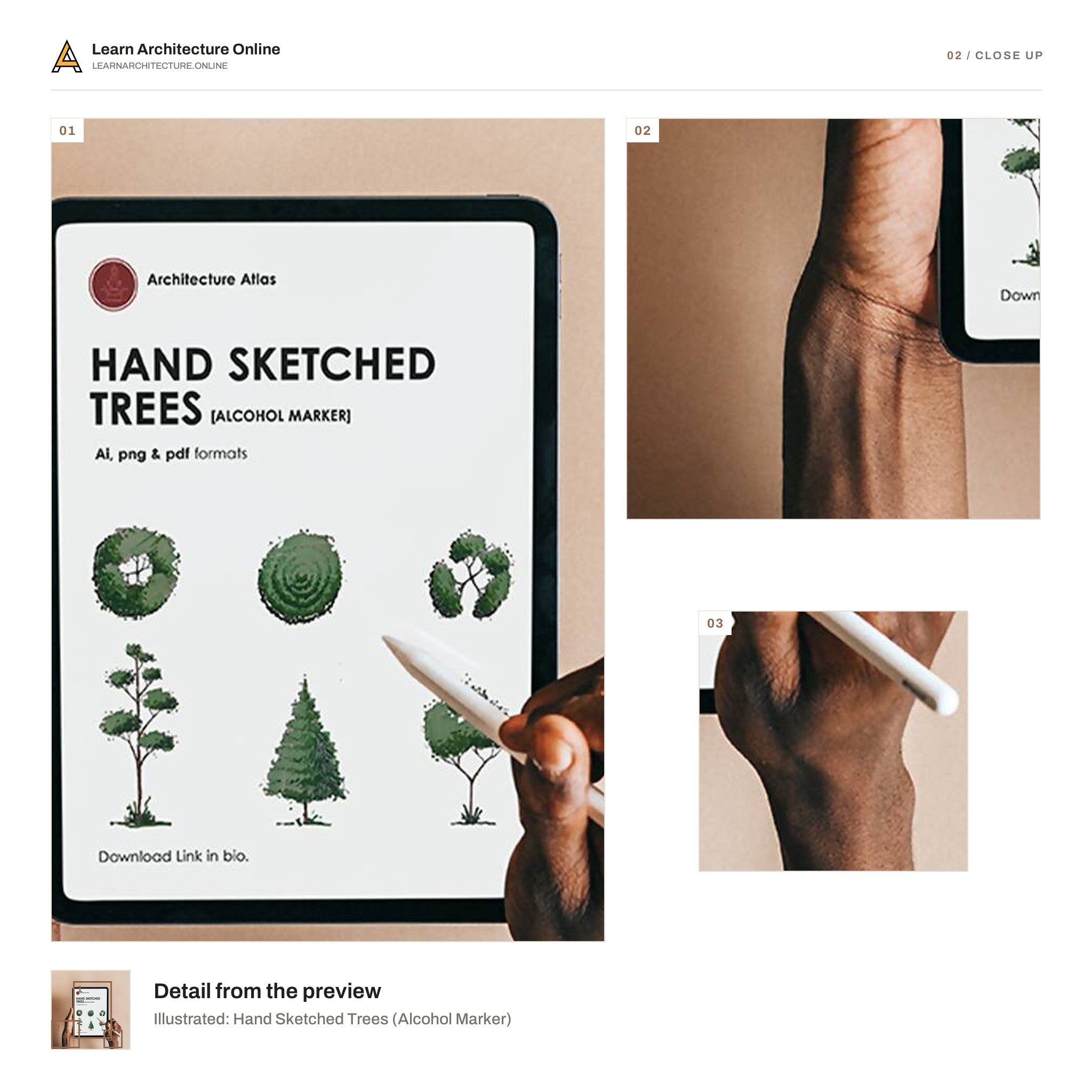 Illustrated: Hand Sketched Trees close up