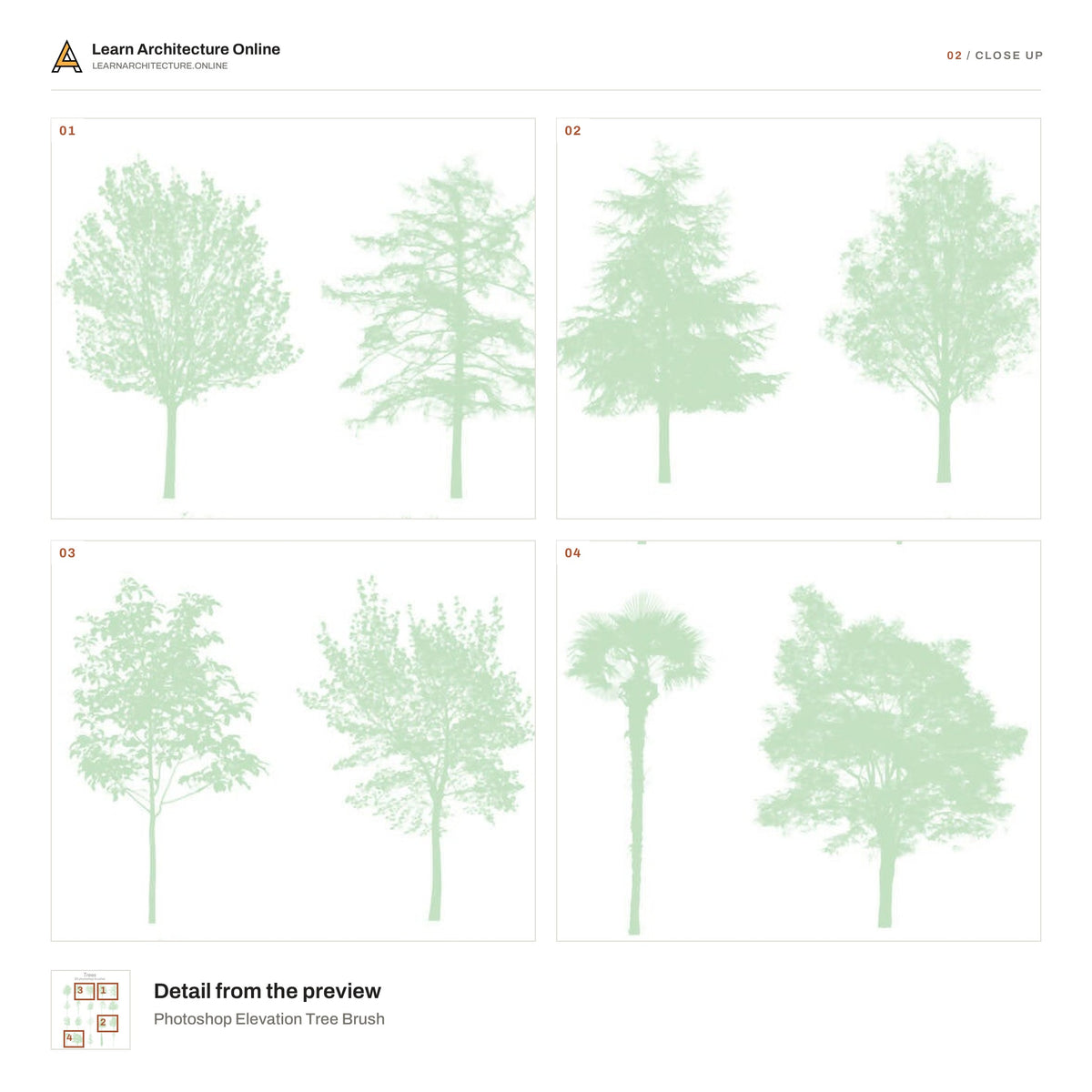 Photoshop Elevation Tree Brush close up