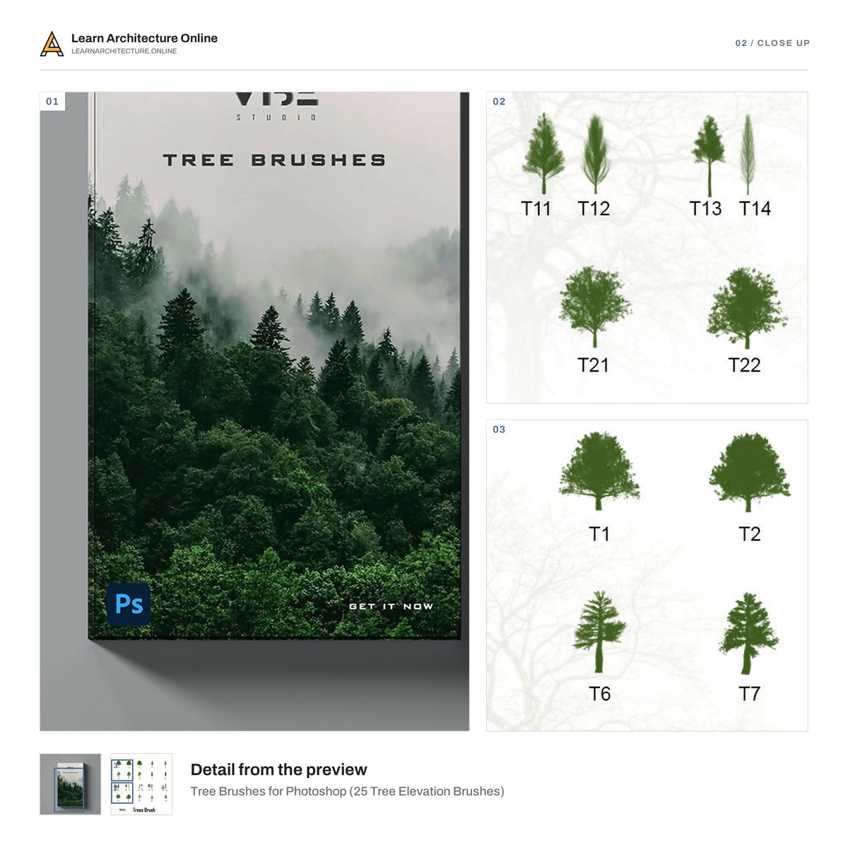 Tree Brushes for Photoshop close up