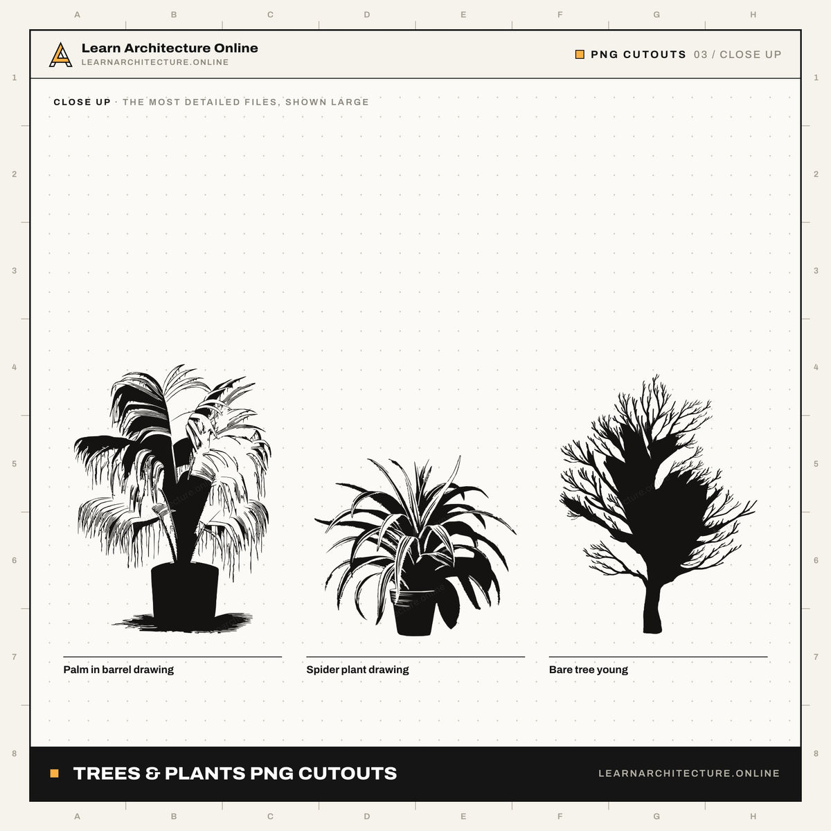 Trees & Plants PNG Cutouts (111 Cutouts)