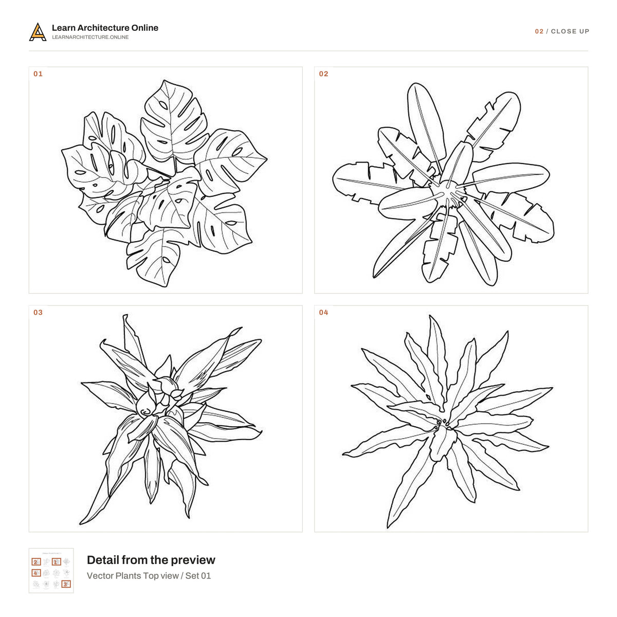 Vector Plants Top view / Set 01 close up