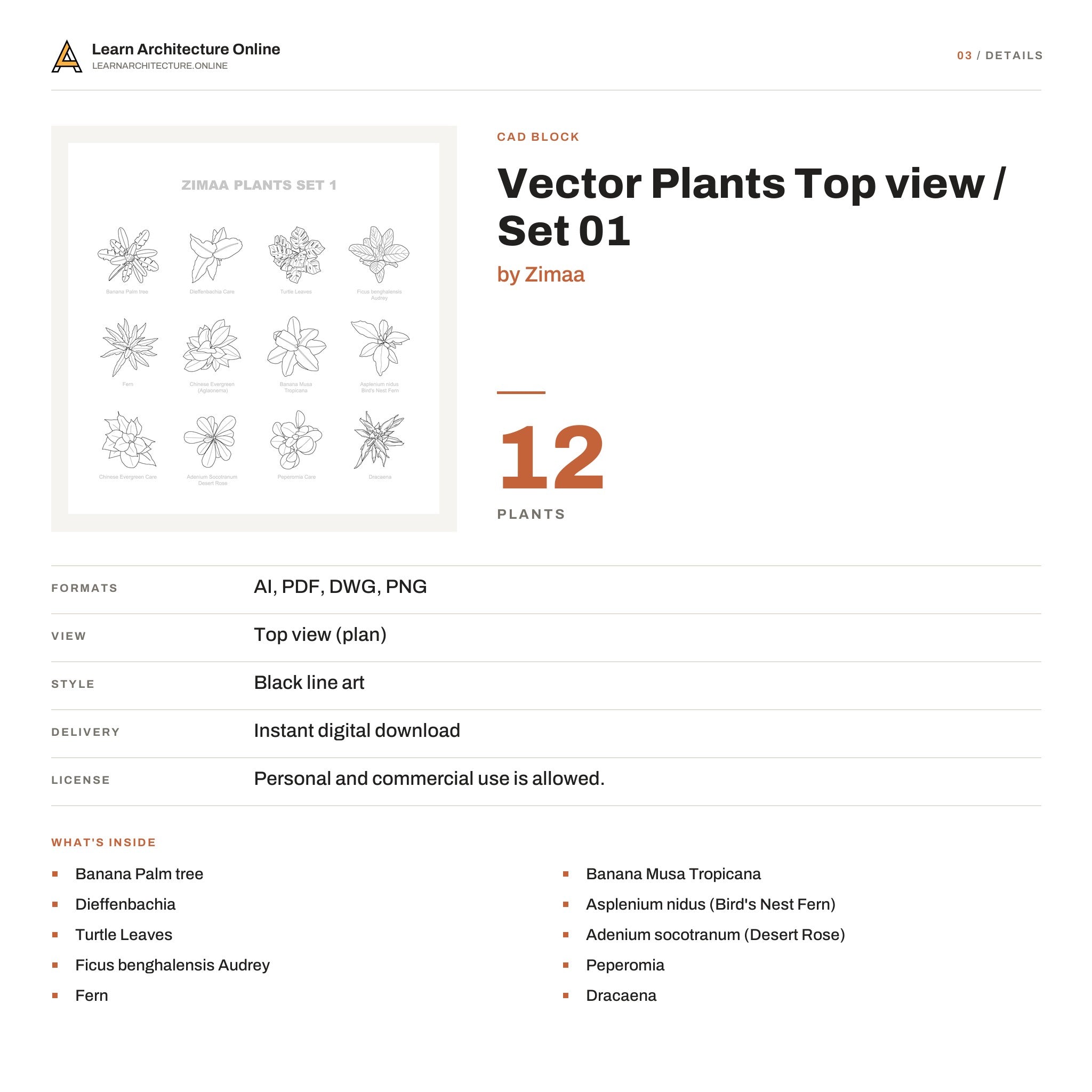 Vector Plants Top view / Set 01 details