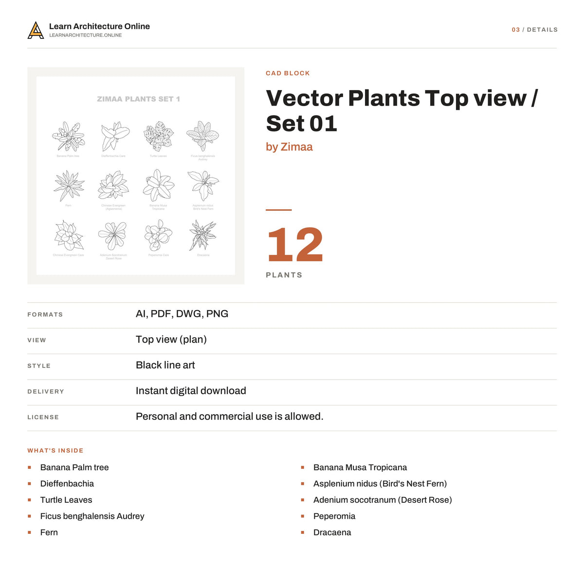 Vector Plants Top view / Set 01 details