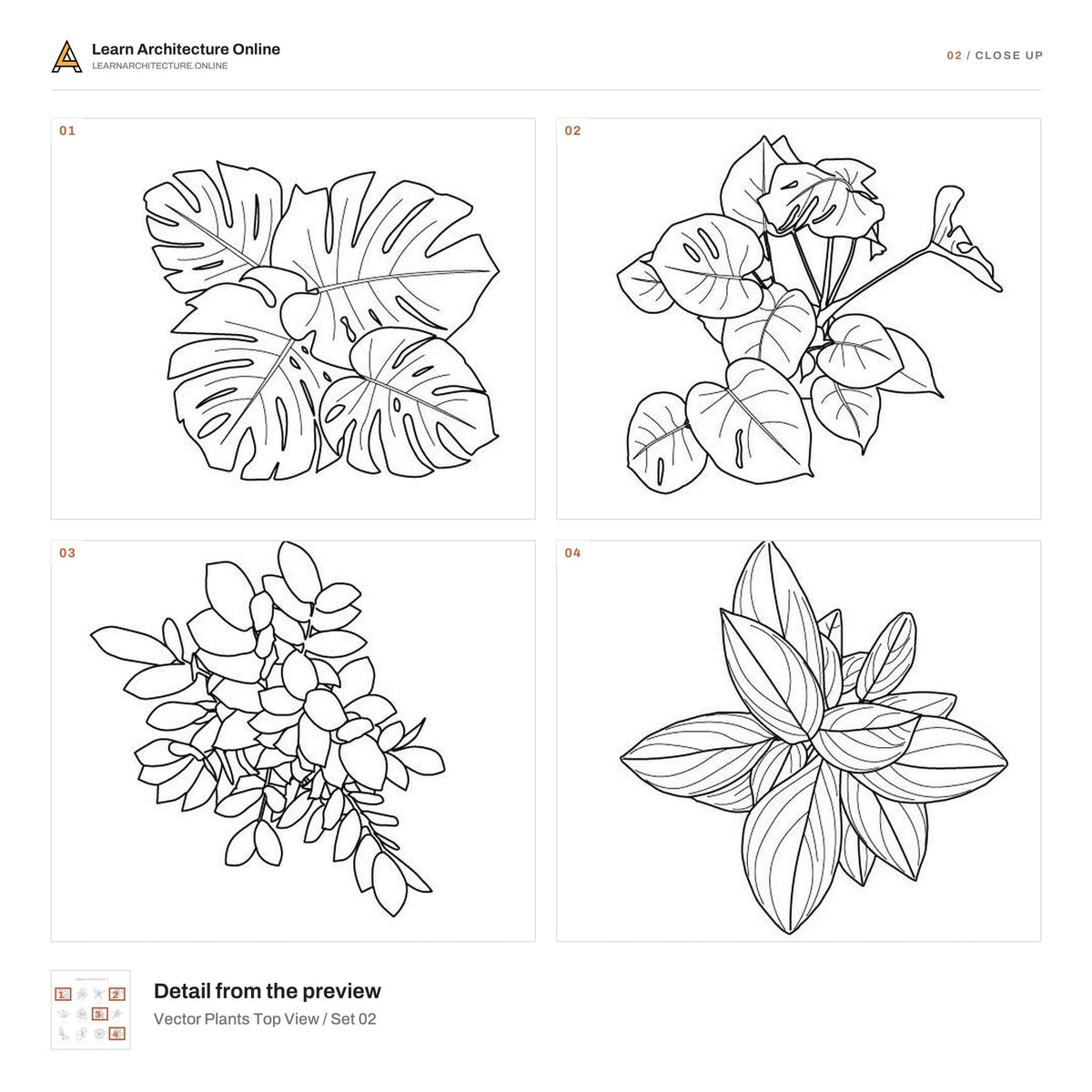 Vector Plants Top View / Set 02 close up