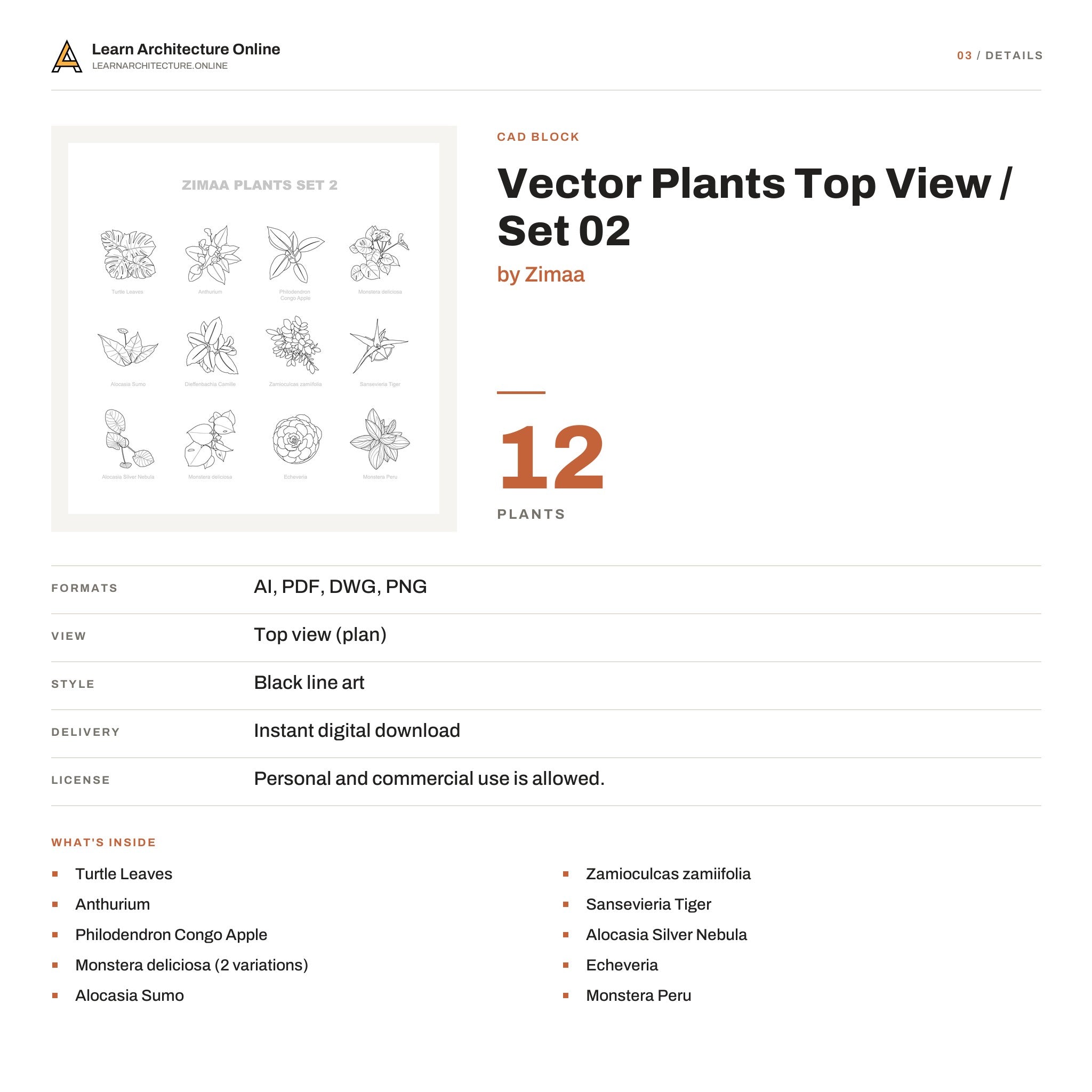 Vector Plants Top View / Set 02 details