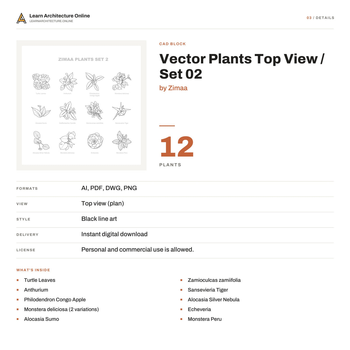 Vector Plants Top View / Set 02 details