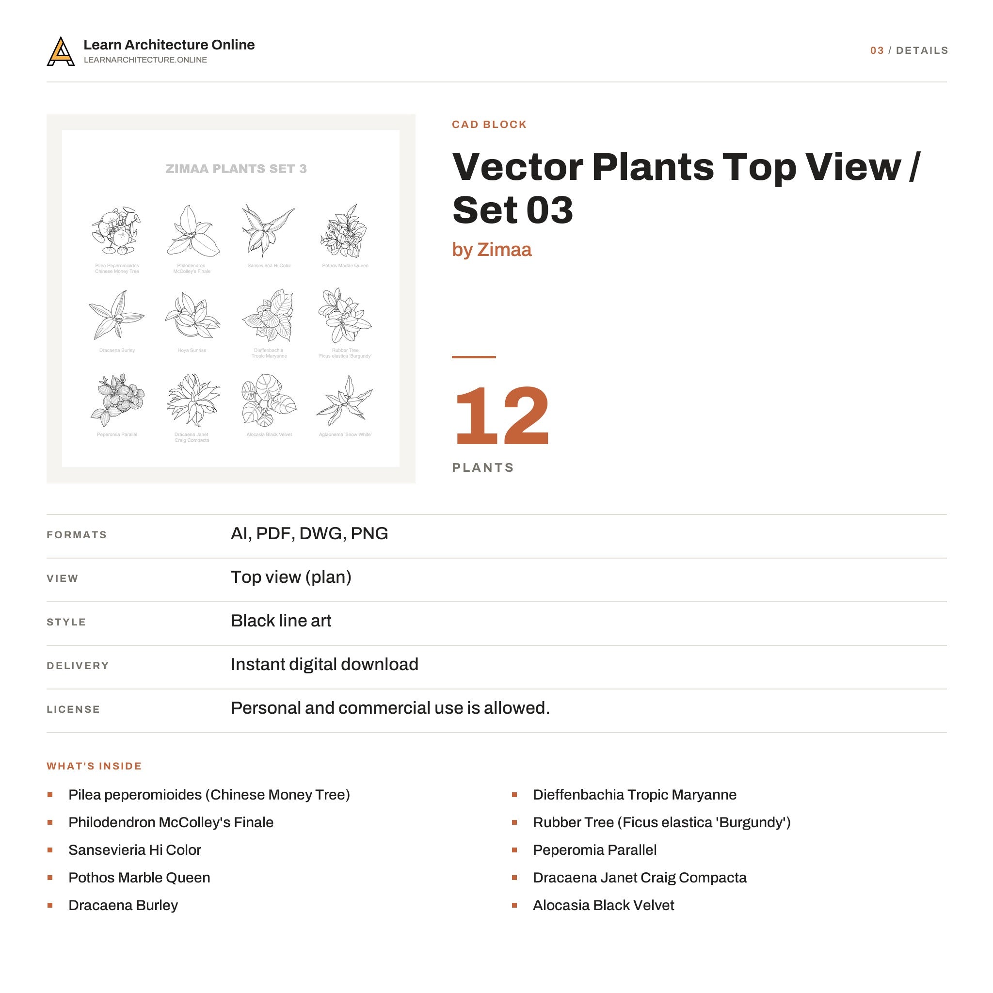 Vector Plants Top View / Set 03 details