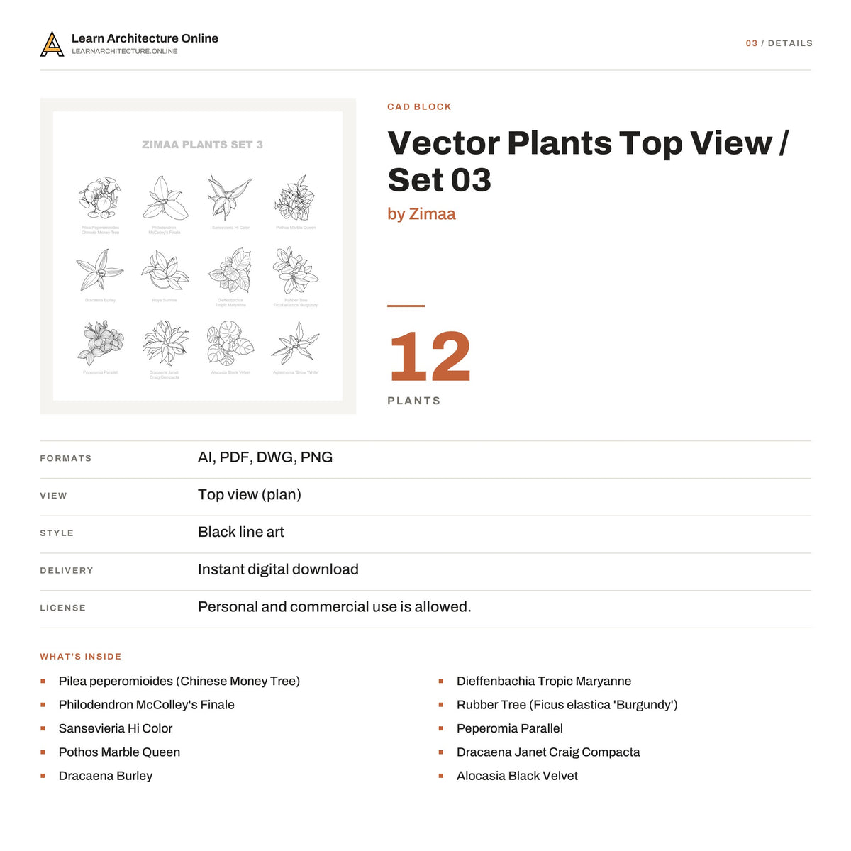 Vector Plants Top View / Set 03 details