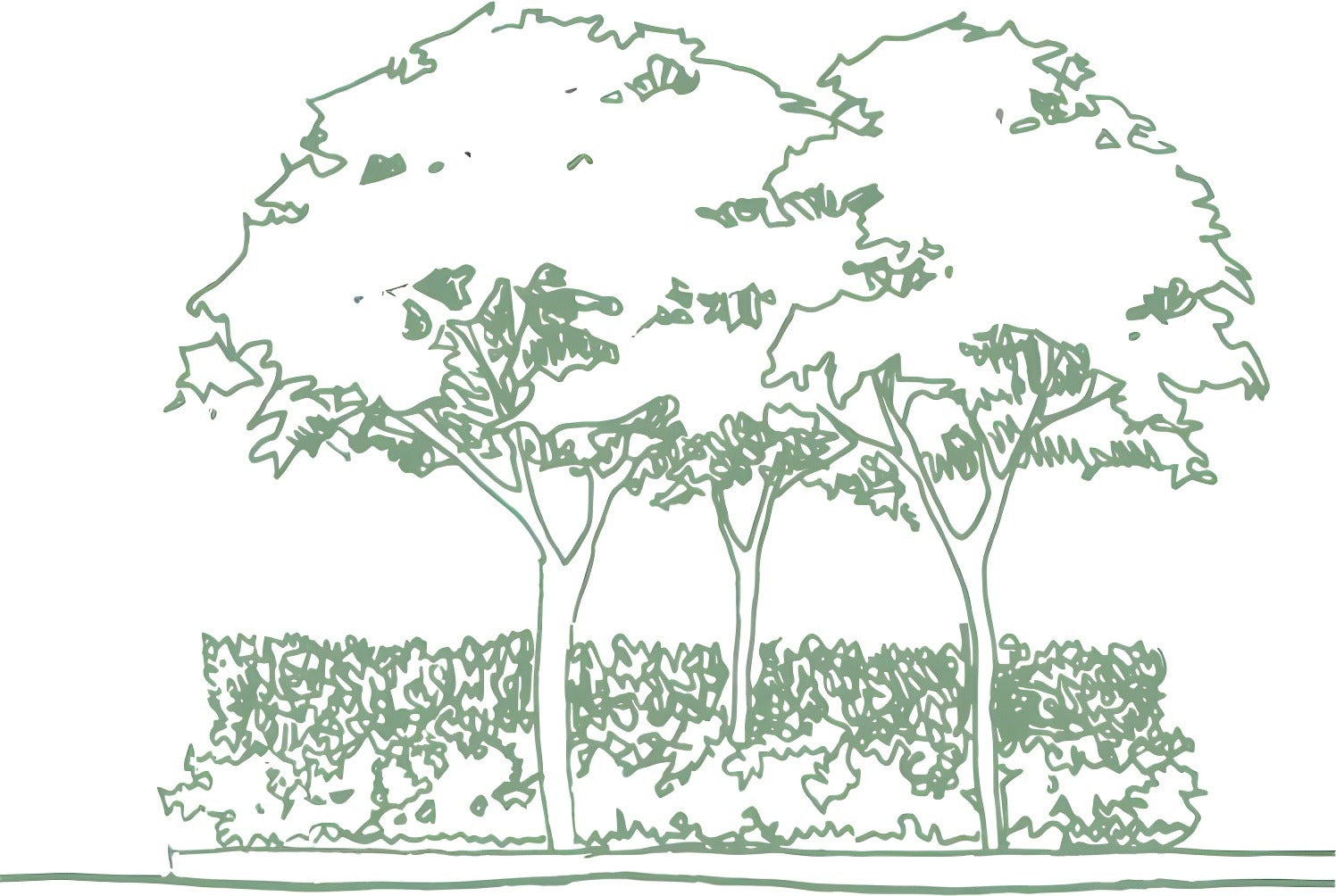 Vector Trees — cutout pack for architectural visualisation, preview 2 of 8