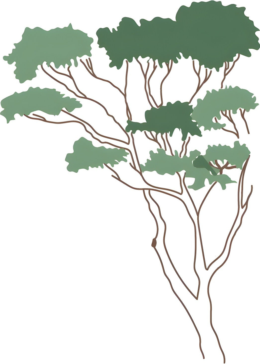 Vector Trees — cutout pack for architectural visualisation, preview 7 of 8