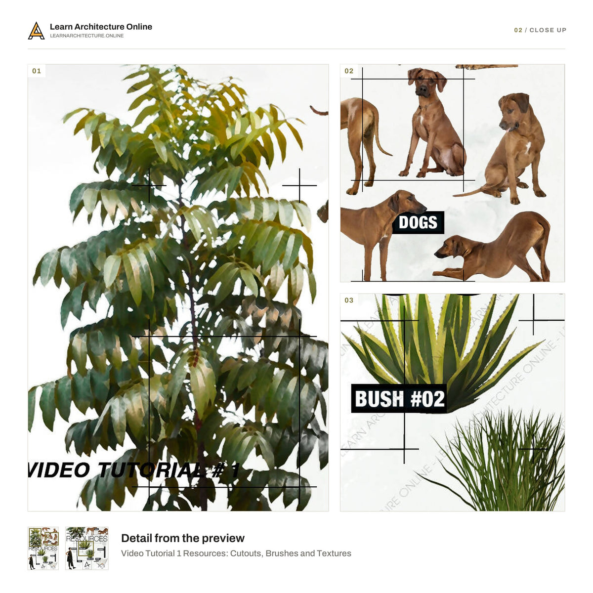 Video Tutorial 1 Resources: Cutouts, Brushes and Textures close up
