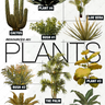 Plant Cutout Pack #1 — cutout pack for architectural visualisation, preview 1 of 2