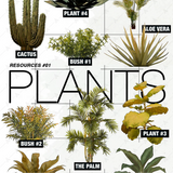 Plant Cutouts Pack 1: 10 Realistic Plants for Renders and Collages