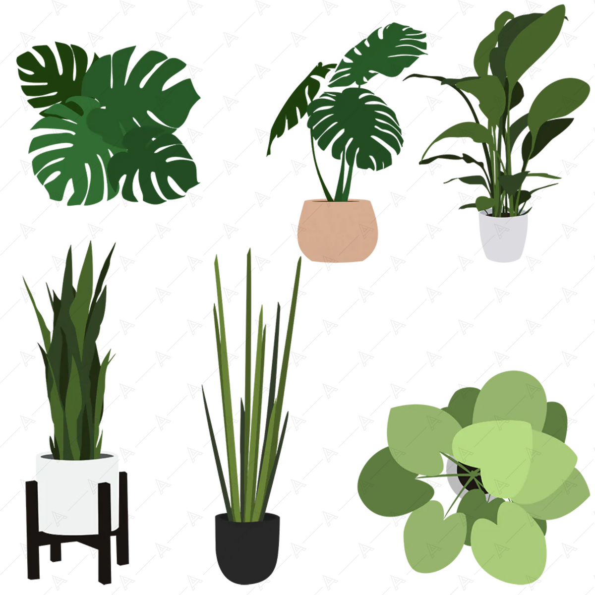 Plants Illustration Pack — cutout pack for architectural visualisation