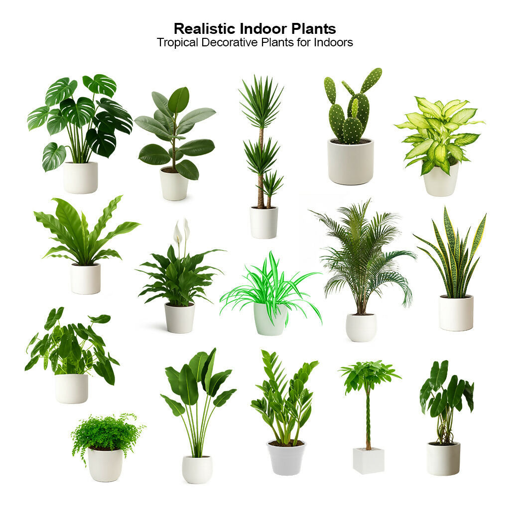 Realistic Indoor Plants — cutout pack for architectural visualisation