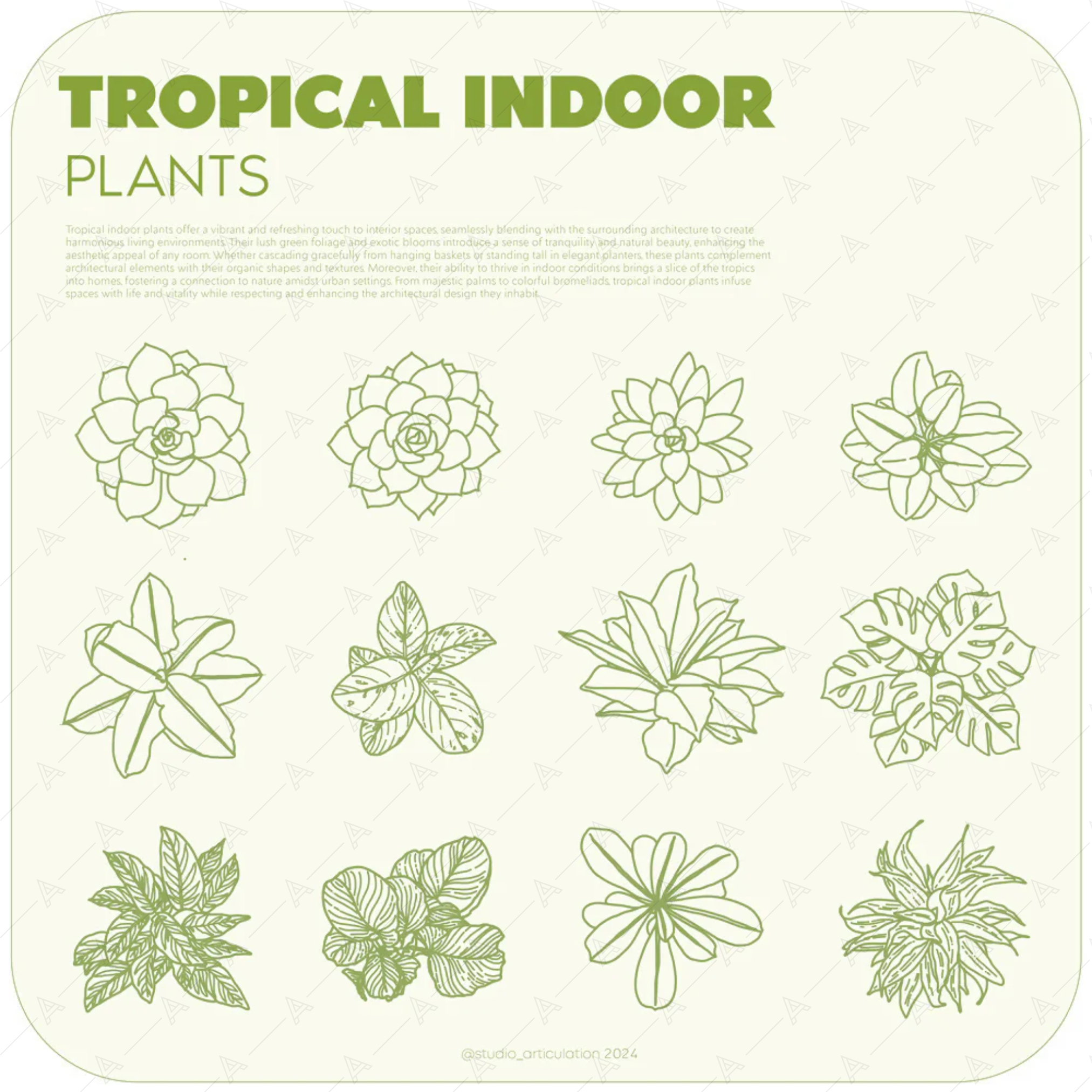 Tropical Indoor Plants — cutout pack for architectural visualisation