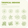 Tropical Indoor Plants — cutout pack for architectural visualisation