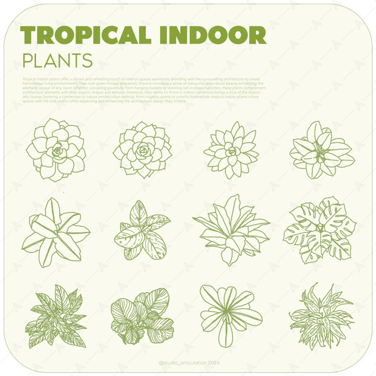 Tropical Indoor Plants — cutout pack for architectural visualisation