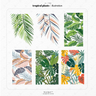 Tropical Plants — cutout pack for architectural visualisation, preview 1 of 7