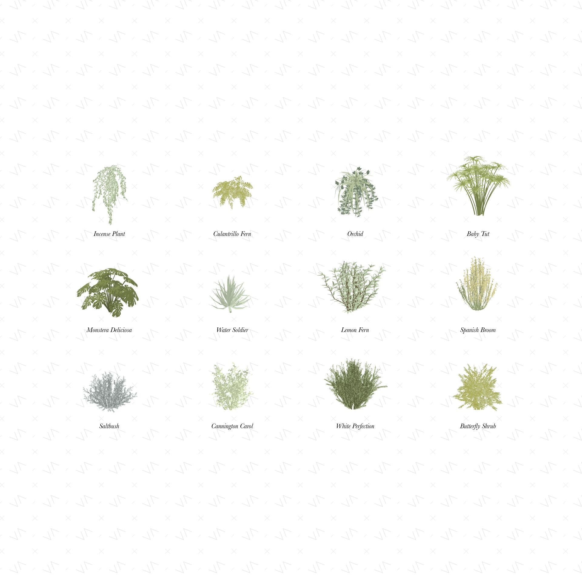 Vector Shrubs Vegetation — cutout pack for architectural visualisation, preview 1 of 4