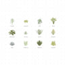 Vector Shrubs Vegetation — cutout pack for architectural visualisation, preview 1 of 4