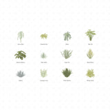 Vector Shrubs Vegetation (12 Species in AI, PNG and PDF)