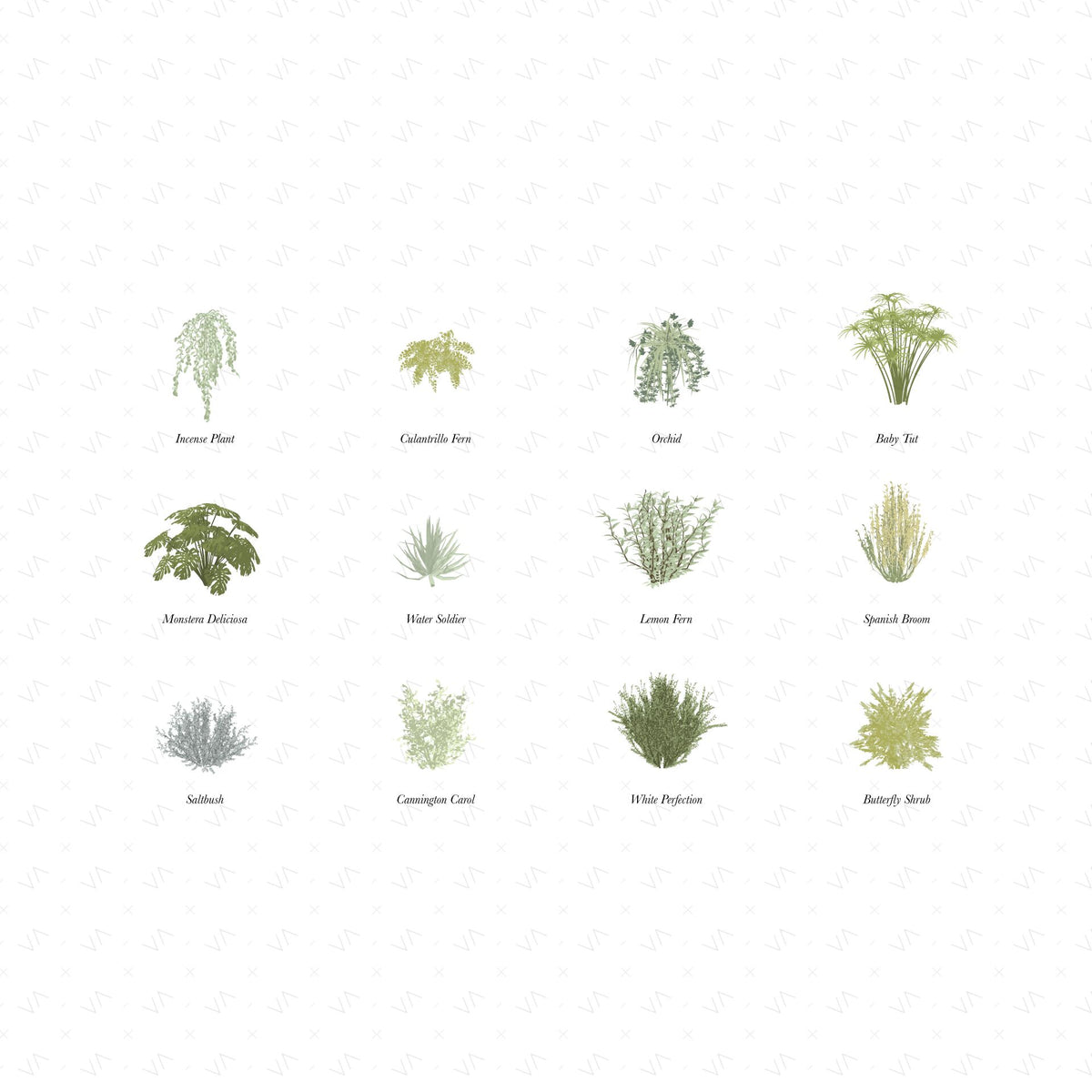 Vector Shrubs Vegetation — cutout pack for architectural visualisation, preview 1 of 4