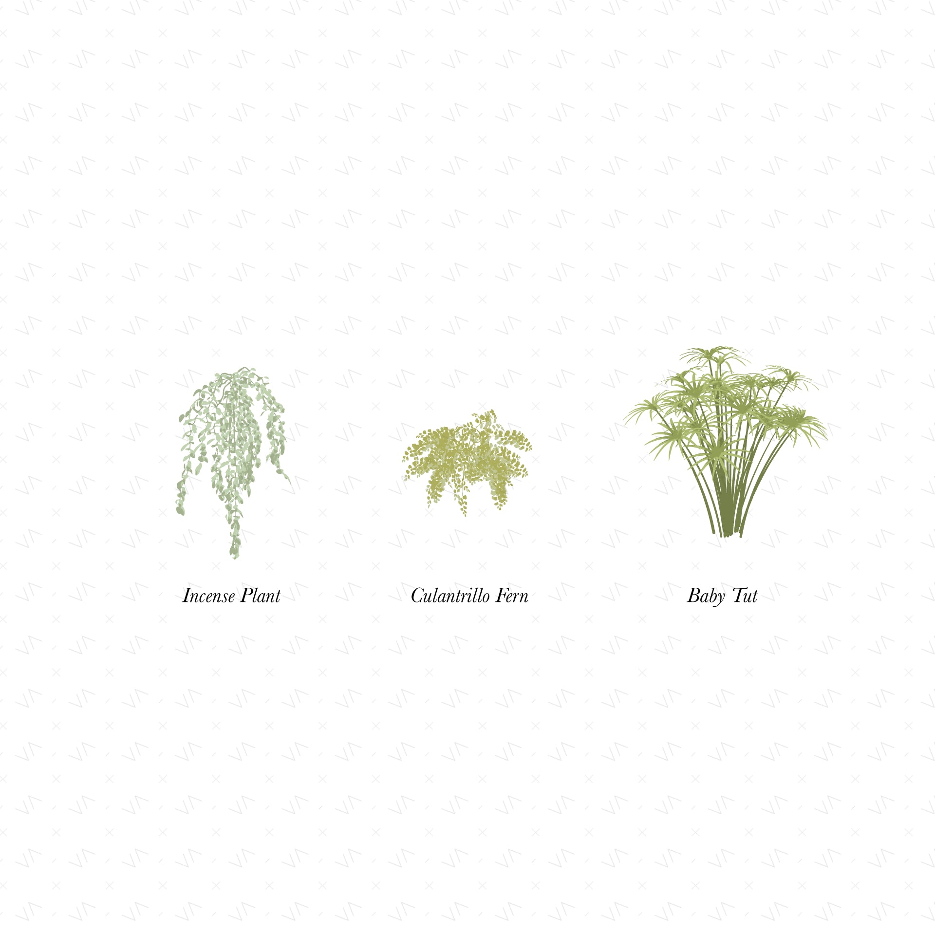Vector Shrubs Vegetation — cutout pack for architectural visualisation, preview 2 of 4