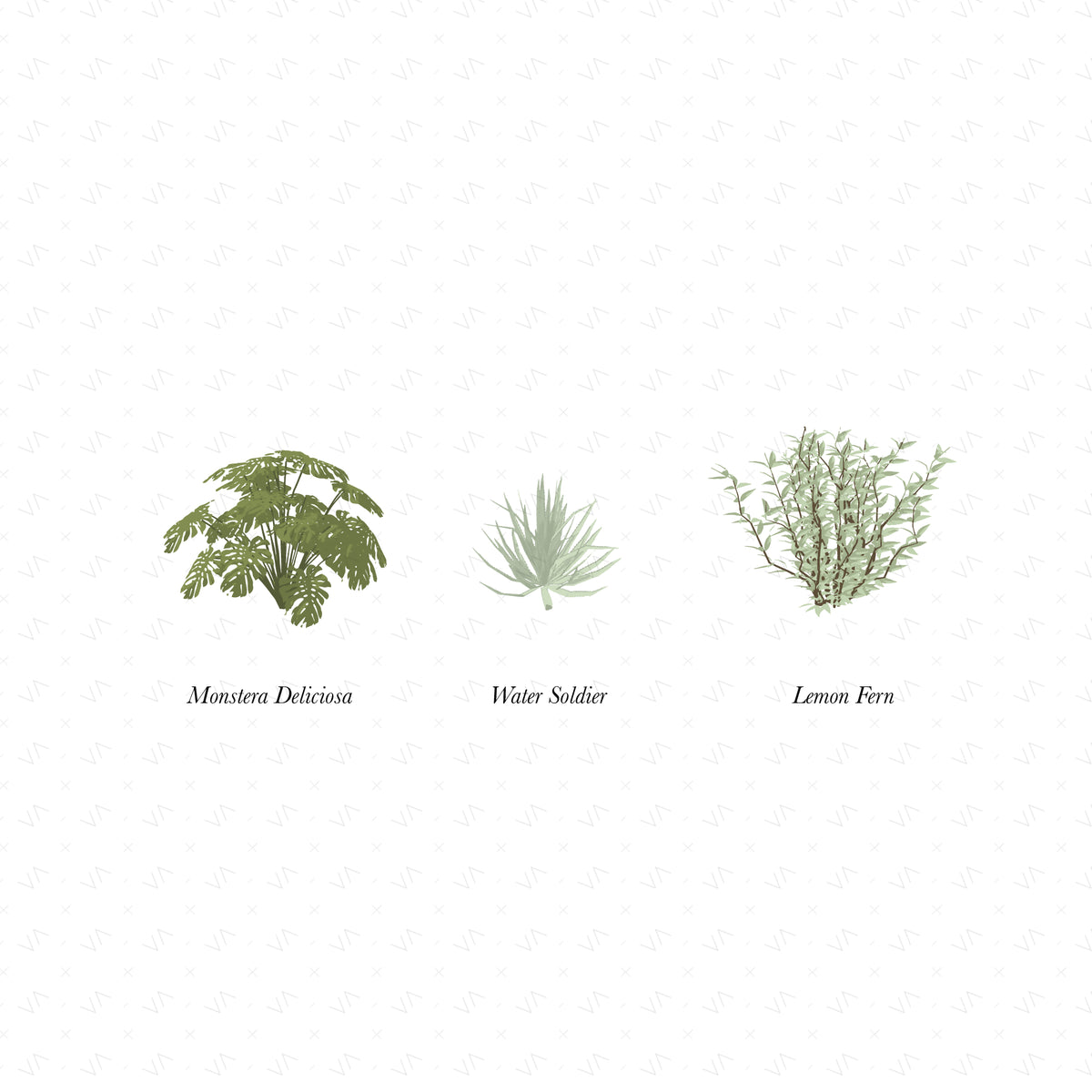 Vector Shrubs Vegetation — cutout pack for architectural visualisation, preview 3 of 4