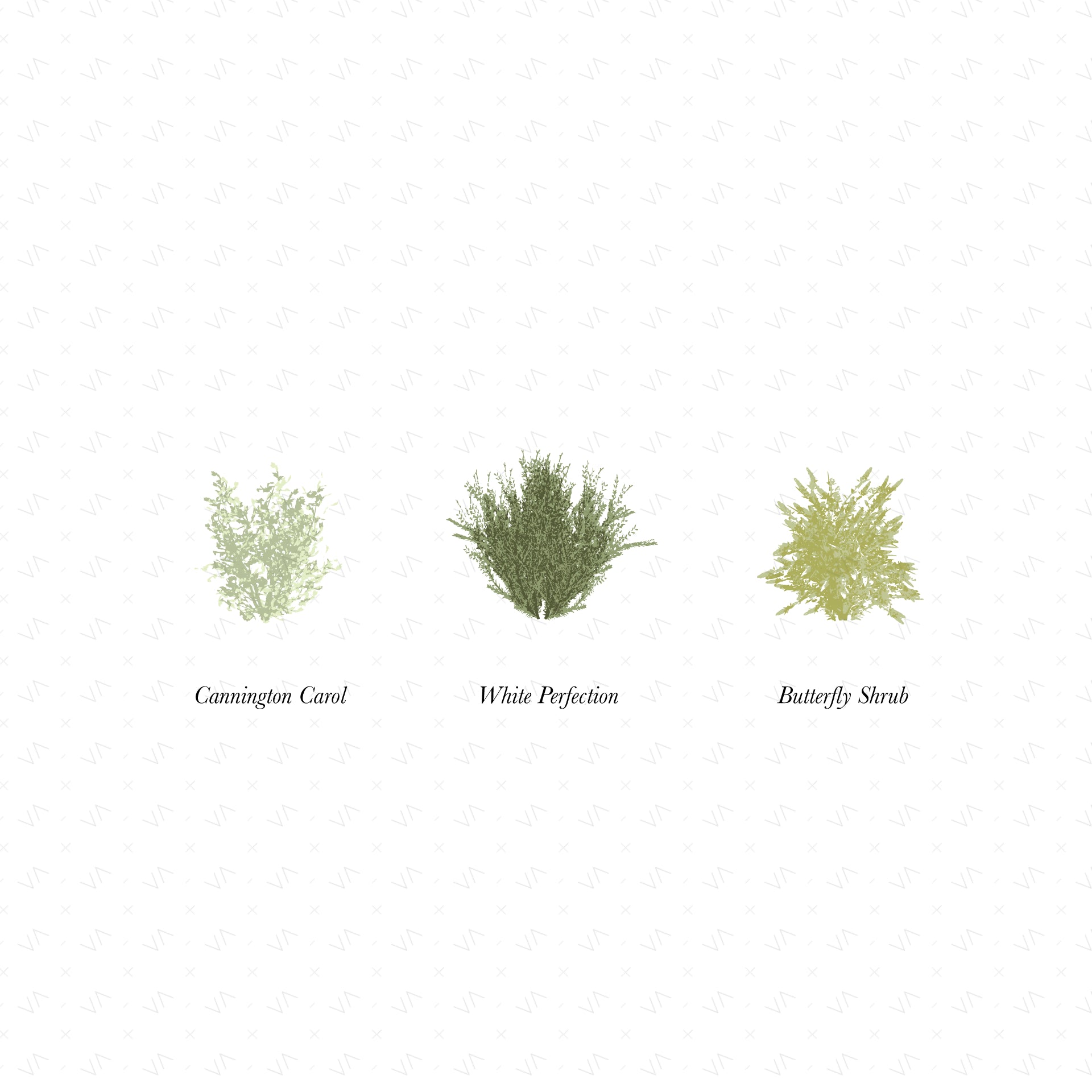 Vector Shrubs Vegetation — cutout pack for architectural visualisation, preview 4 of 4