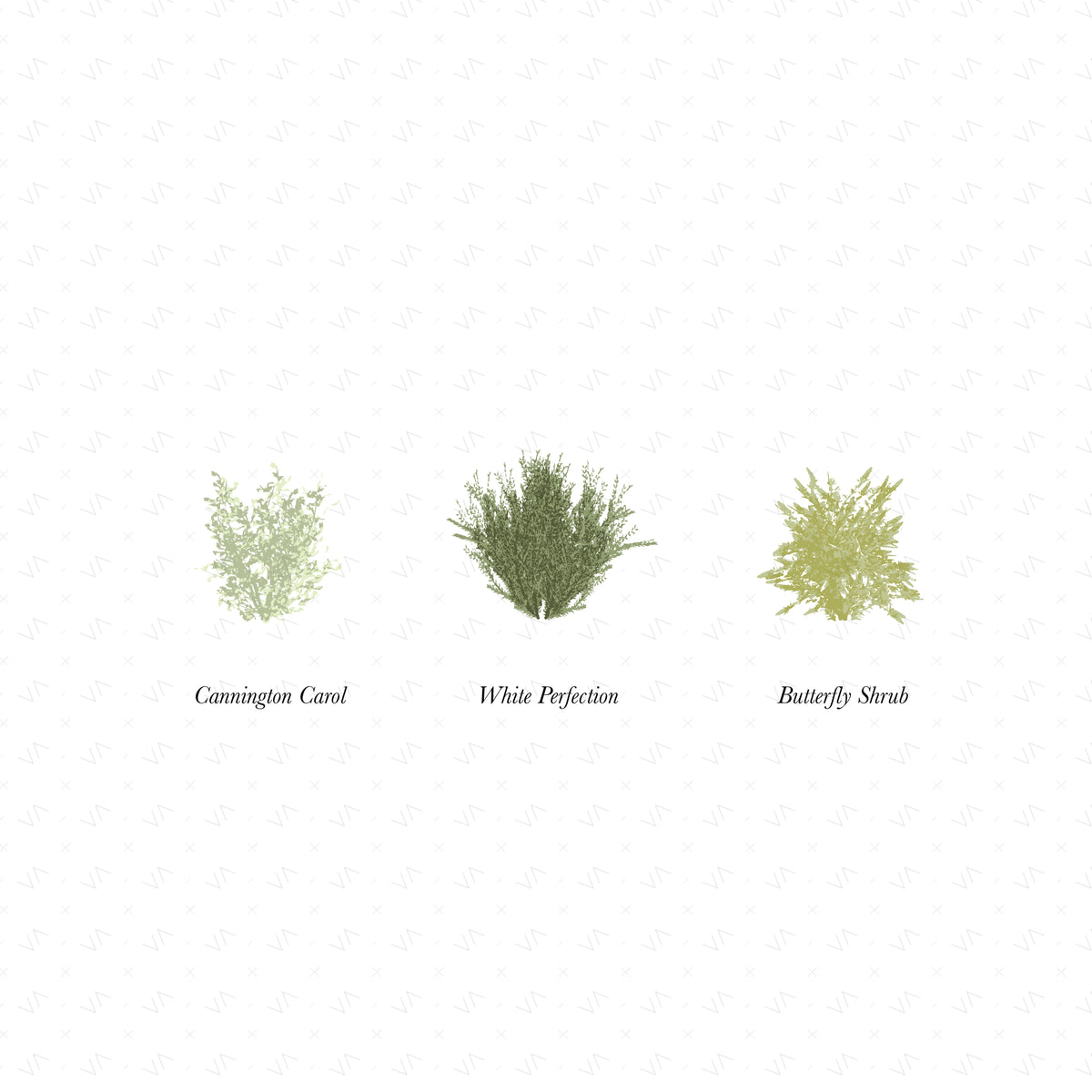 Vector Shrubs Vegetation — cutout pack for architectural visualisation, preview 4 of 4