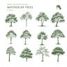 Watercolor Trees Brushset — brush set for architectural drawings, preview 1 of 5