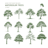 Watercolor Trees Brushset