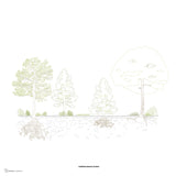 Mediterranean Forest CAD Blocks in Elevation (Trees, Roots, Shrubs)