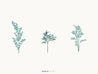 Flat Vector Flower And Leaves Pack