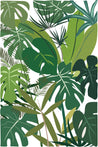 Tropical Plants