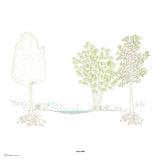 River Bank Forest CAD Blocks in Elevation (Trees, Roots, Reeds)