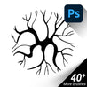 Hand-Drawn / Hand-Sketched / Top View Trees / Photoshop Brushes / SET#01