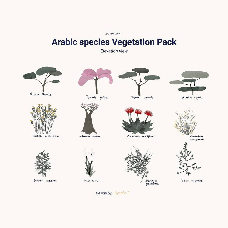 Arabic Species Vegetation Vector Pack- Set Of 12 Vector Trees Illustra ...