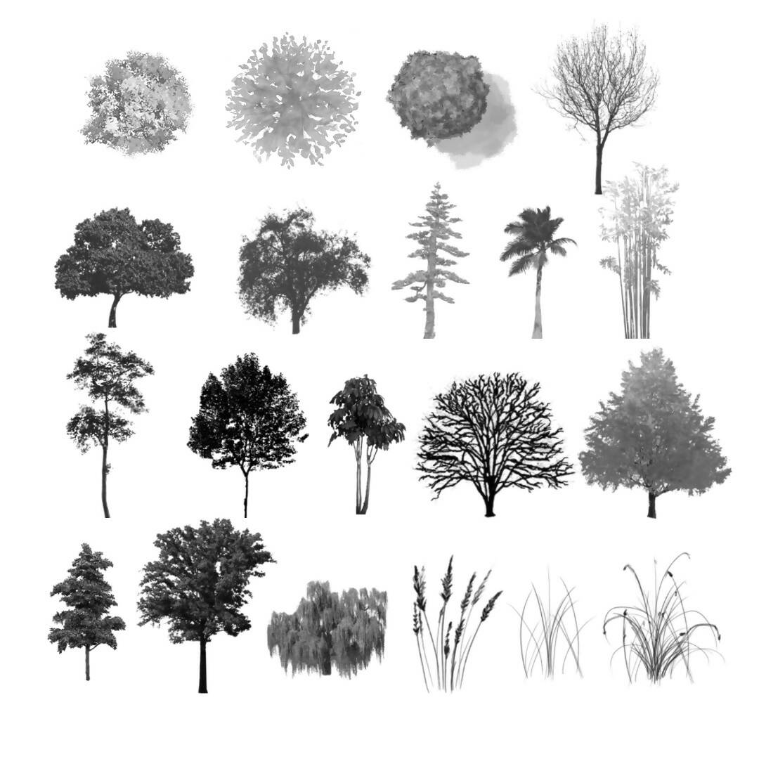 160 Realistic Tree Photoshop Brush ABR | Learn Architecture Online