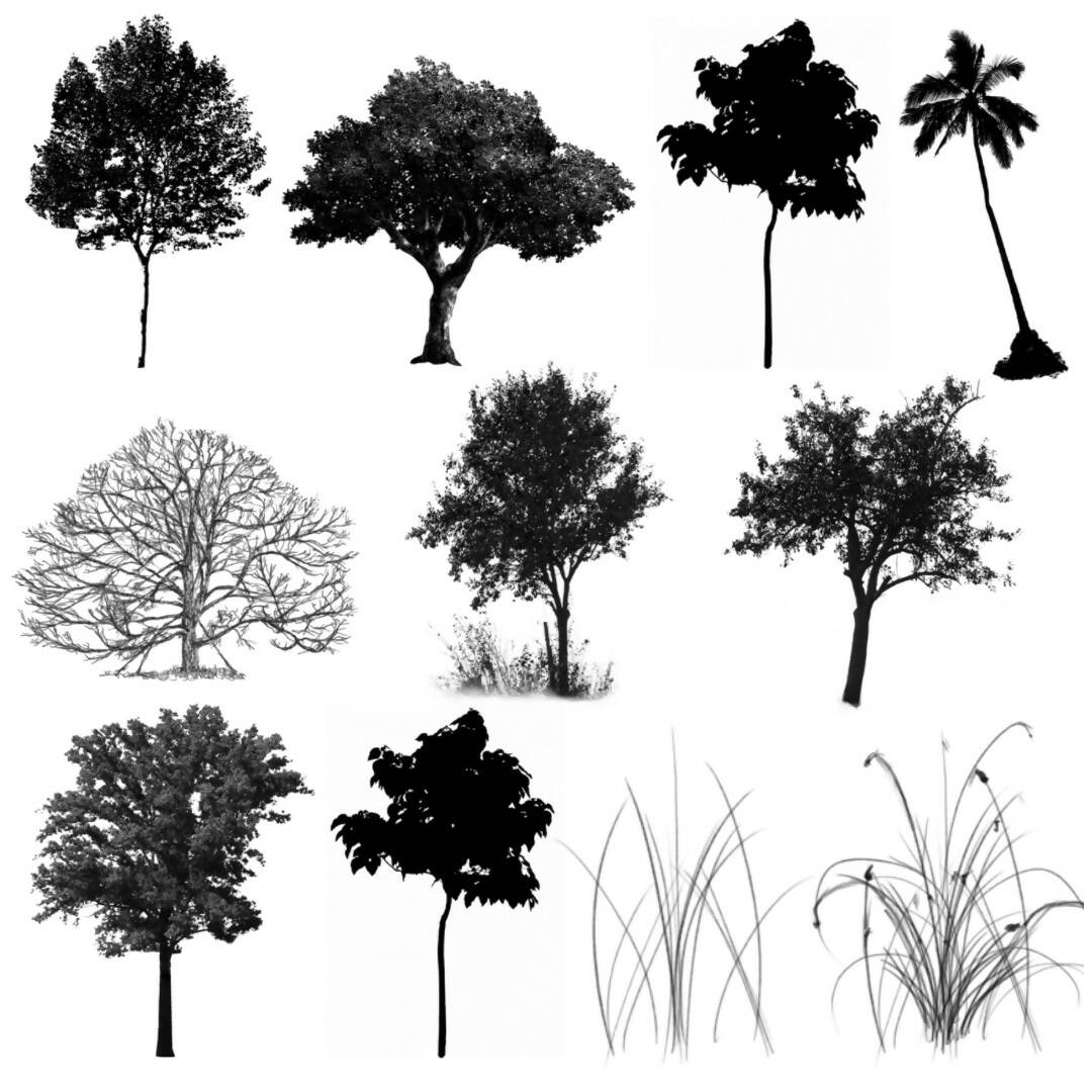 20 Realistic Tree Photoshop Brush ABR | Learn Architecture Online