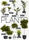 9 Plant Elevation Cutouts