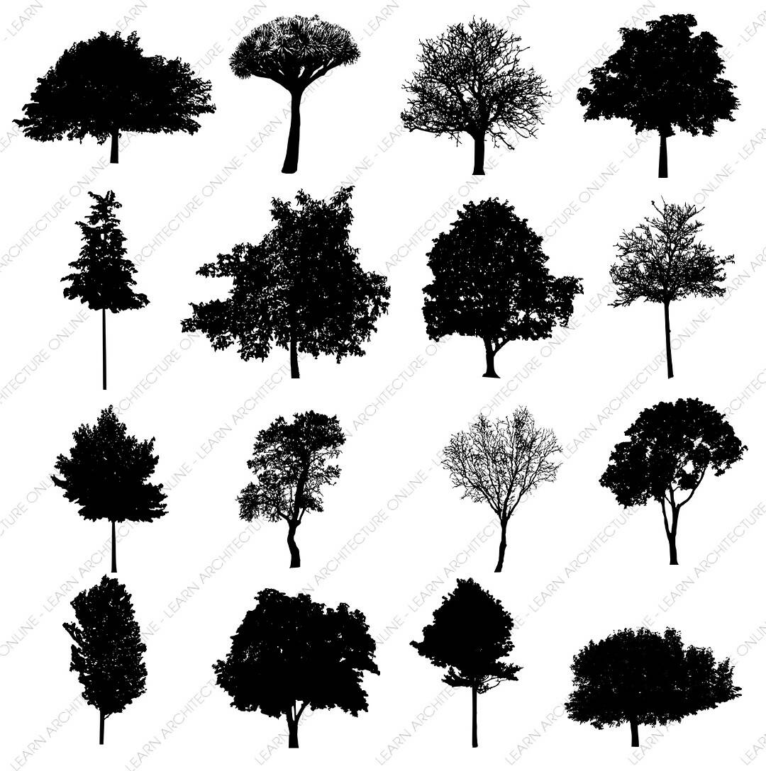 35 Tree Silhouette Cutouts | Learn Architecture Online