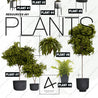 9 Plant Elevation Cutouts