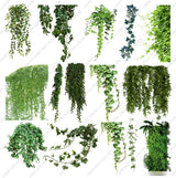 Ivy and Hanging Plant Cutouts (24 Transparent PNGs)