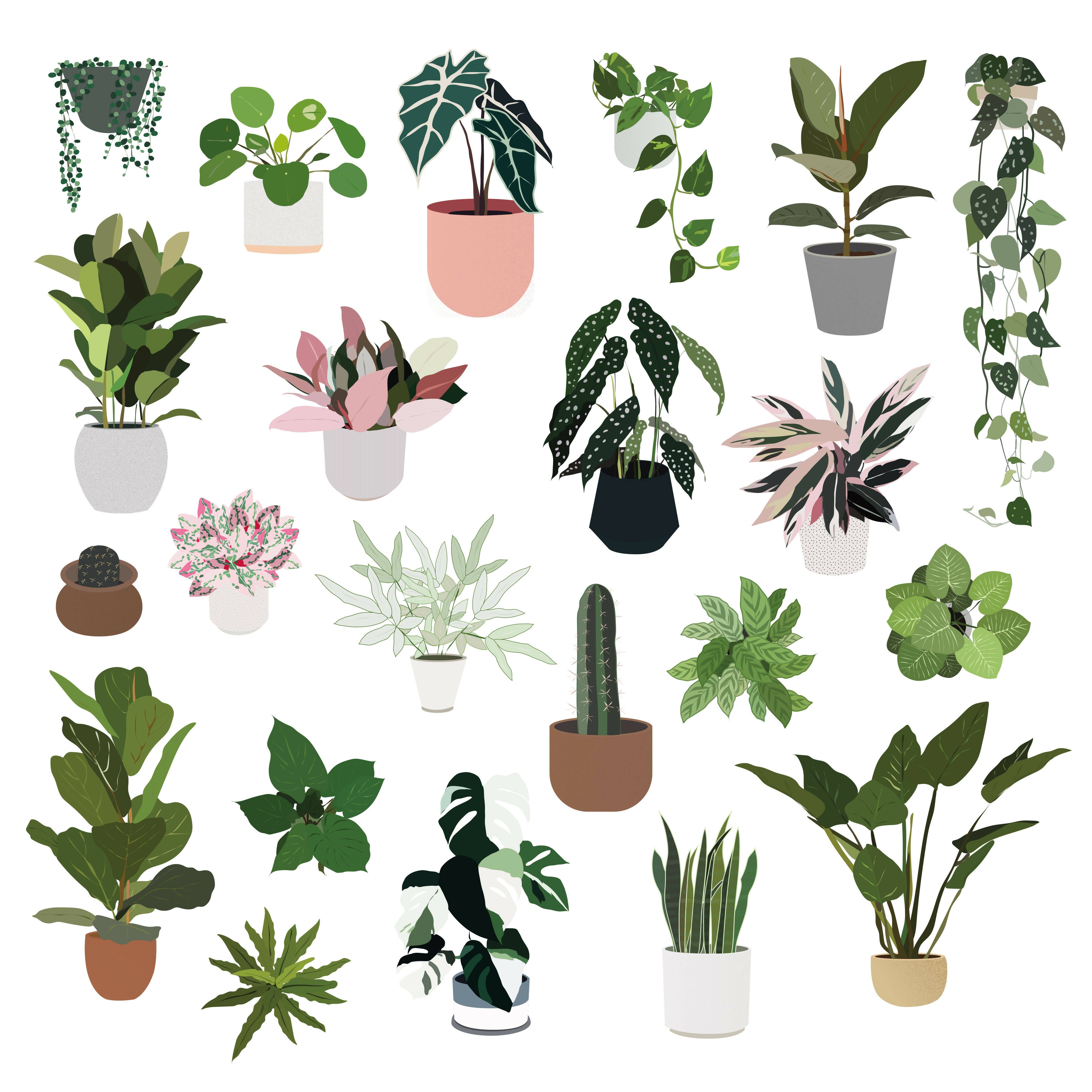 Illustrated Plants (22 figures) | Learn Architecture Online