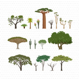 Trees and Plants Pack 01: 20 Illustrated Desert and Savanna Trees